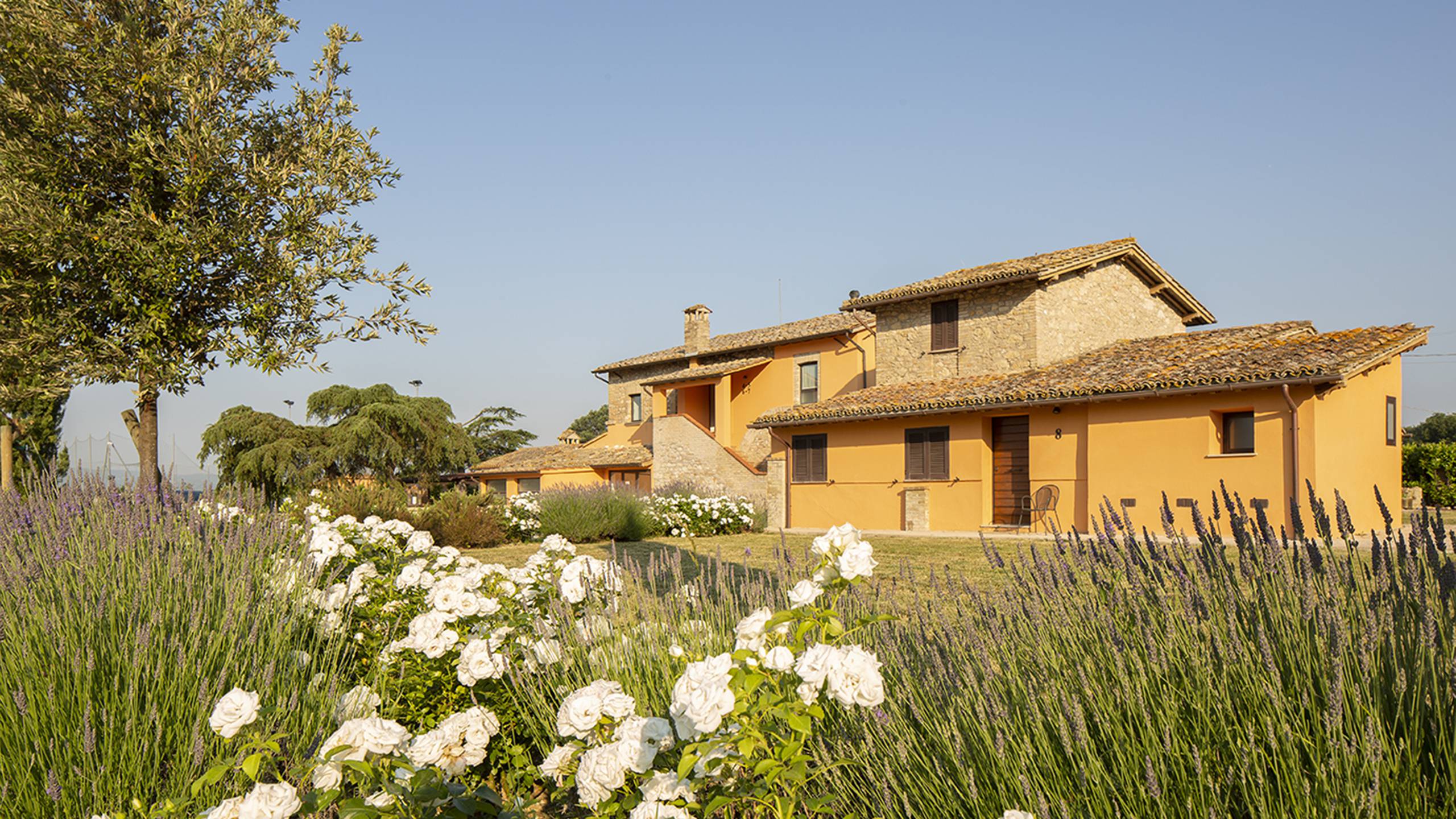 Giotto Country Spa Assisi Sito Ufficiale Giotto Country Spa Assisi Sito Ufficiale